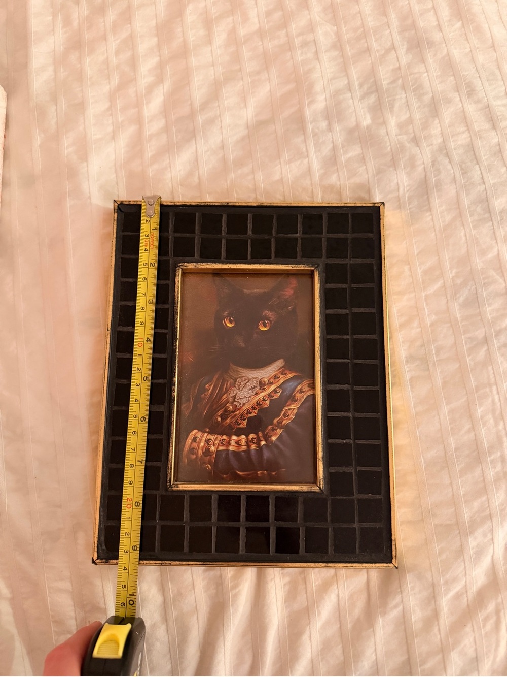 Cat Portrait - Picture 3 of 6